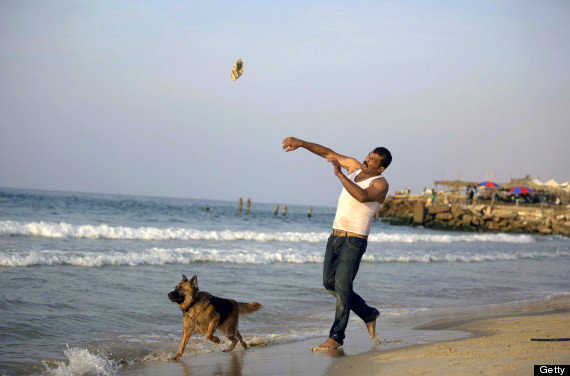 Hassan Kasskin, a 44-year-old Palestinian, teaches his dog how to rescue people shipwrecked at sea at the beach in Gaza City, on November 6, 2013. AFP PHOTO/MOHAMMED ABED        (Photo credit should read MOHAMMED ABED/AFP/Getty Images)