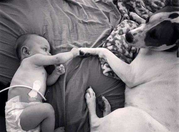 01-Rescue-Dog-in-Love-With-His-Baby-Sister