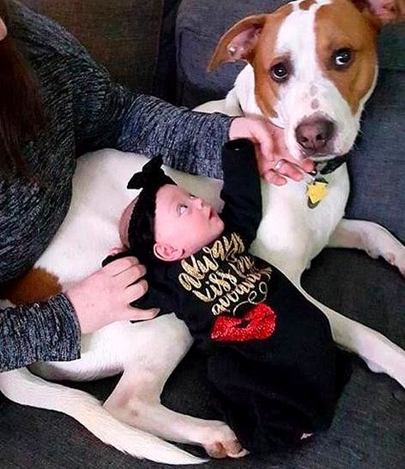 07-Rescue-Dog-in-Love-With-His-Baby-Sister
