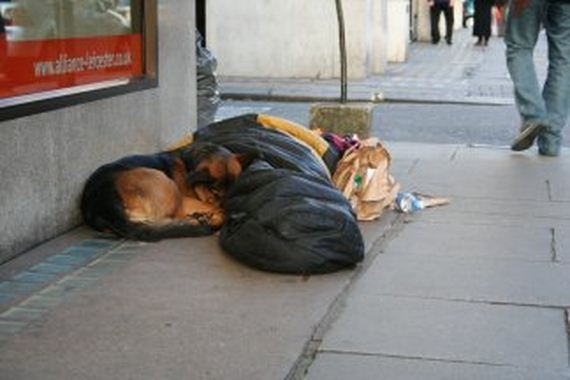 06-pets-homeless