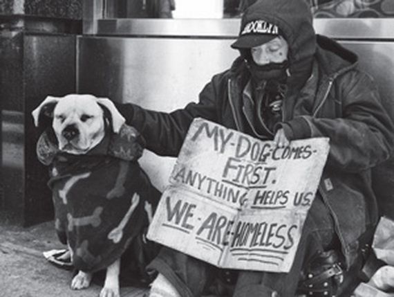 07-pets-homeless