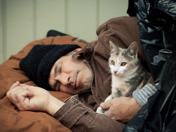 08-pets-homeless
