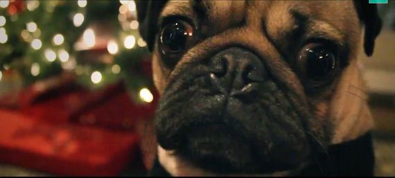 Doug the Pug – All I Want For Christmas Is Food