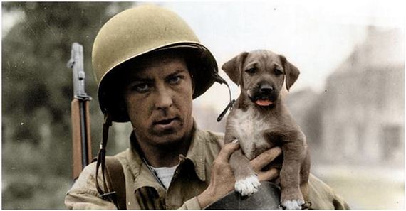 Photographs Of Soldiers And Their Pets That Will Make Your Heart Melt
