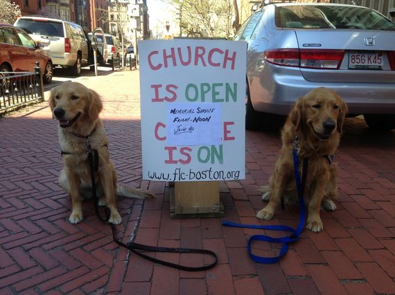 Therapy Dogs Comfort Boston