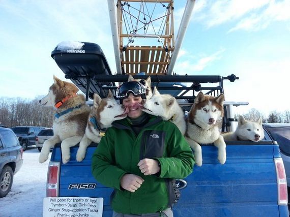 Sled Dogs Who Are Way Too Happy About Winter