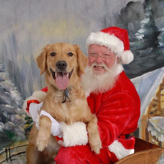 Pets Perfectly Posed With Santa Claus