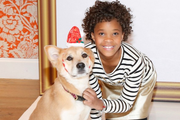 Rescue Dog is Chosen to Play Sandy in Upcoming Movie Version of Annie