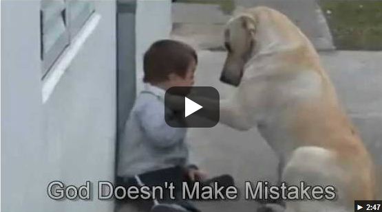 Sweet Mama Dog Interacting with a Beautiful Child with Down Syndrome