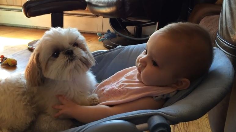 Mom Captures A Special Moment Between Her Baby Girl And Dog