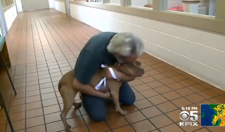 This Guy Thought He Lost His Dog In The Storm, But A Miracle Happened! Watch Their Reunion!