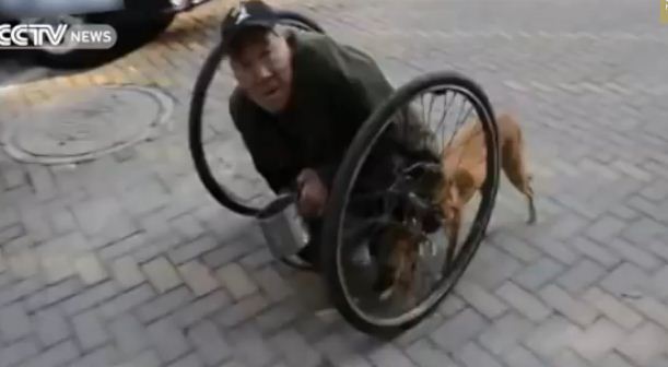 Your Jaw Will Drop When You See How This Dog Helps This 86 Year-Old Disabled Man