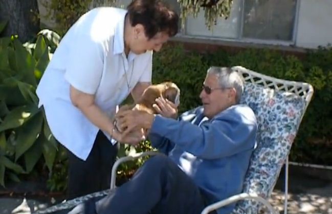 You’re NEVER Too Old To Love A Puppy – This Heartwarming Video Proves It