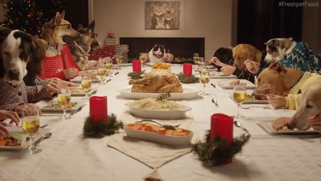 These Dogs And A Cat Enjoying A Festive Feast Looks More Fun Than Our Christmas Day