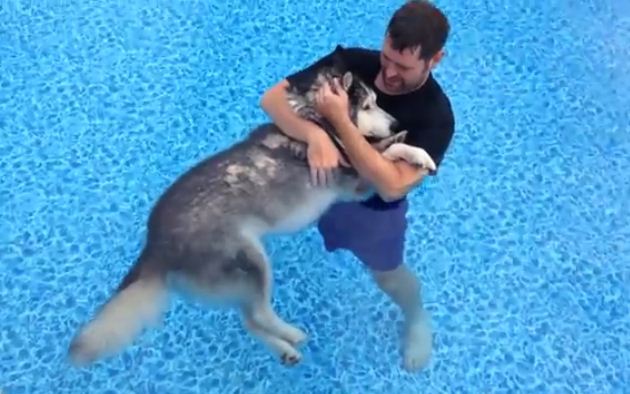 This Loving Owner Does Something With His Senior Husky Will Move You To Tears