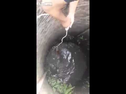 GONE VIRAL: Heart-Pounding Rescue Of A Dog Who Fell Down A Well!