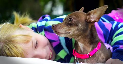 This Deformed Rescue Dog Was Homeless. Until She Met A Girl Who Saw Her Through Love’s Eyes!