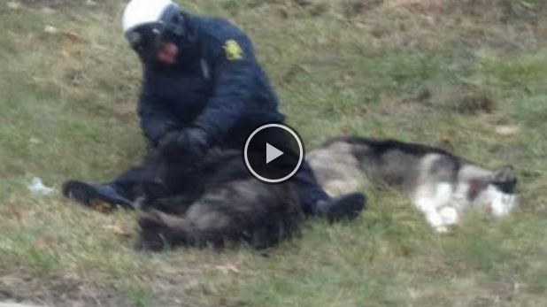 This Police Officer Became A Hero With His Simple Act Of Animal Kindness