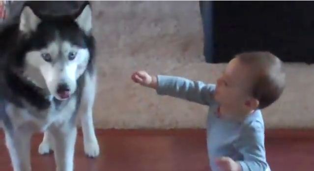 Baby Talks To Dog, They End Up Having A Great Conversation