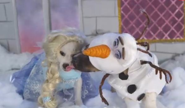 Elsa, Ariel, and Pooh – Oh My! Pups Reenact Disney Classics