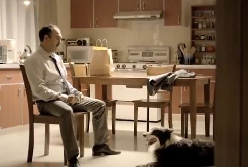 Man Sits His Dog Down And Has “The Talk”. The Dog’s Reaction, Priceless!