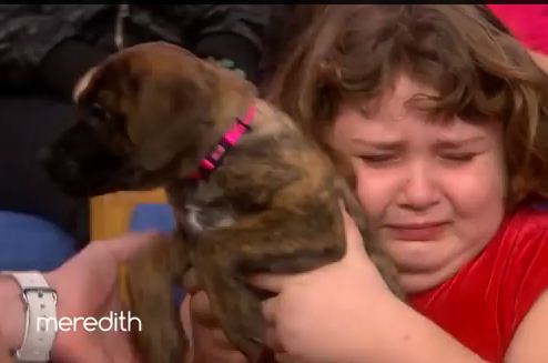 Emotional Little Girl Is Surprised With A Puppy She Thought Was Lost Forever