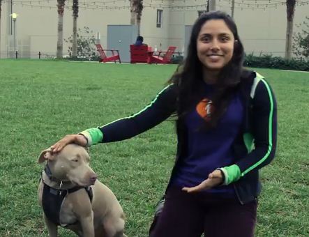 When People Meet Pit Bulls For The First Time What Happens May Surprise You!