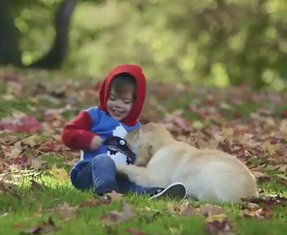 App Allows You To Swap Out Old Dog For New Puppy… But Wait, It’s Not What You Think!