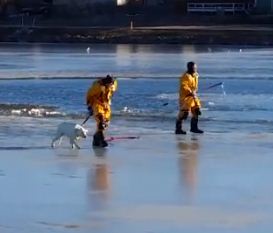 Colorado Firefighters Rescue Sophie from Icy Lake