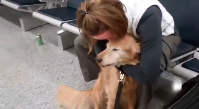 This Dog’s Reunion With His Soldier Mom Will Leave You Speechless (Grab Tissues!)