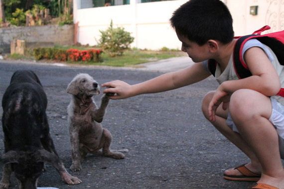 Awesome 9 Year Old Boy Creates A No-Kill Shelter In His Garage