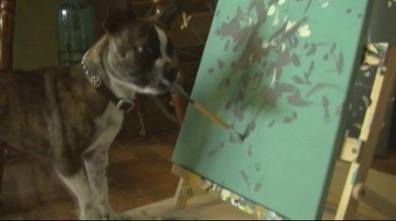 Dog in Minnesota has a Rare Talent for Art
