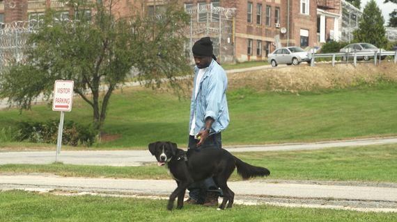 These Shelter Dogs Found A Beautiful Friendship In the Most Unexpected Place