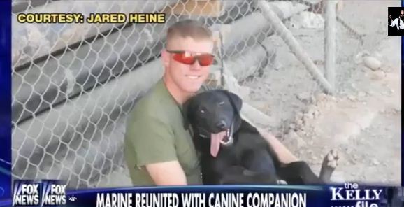 Marine Reunited With Dog Who Saved His Life