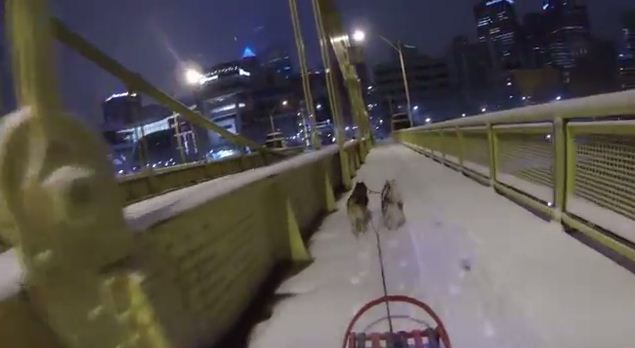 Pittsburgh Man Turns Snowy Streets Into Dog Sledding Adventure!