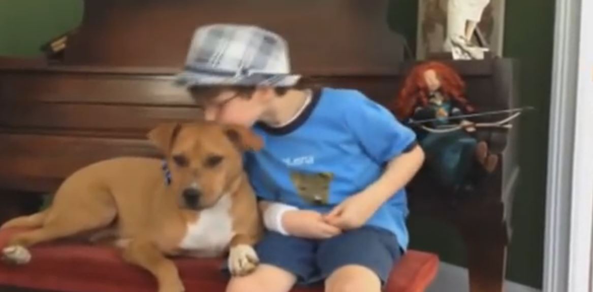 You Won’t Believe What Happened When This Dying Dog Met An Autistic Boy. Just Amazing.