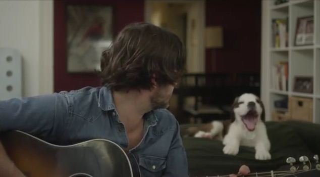 They Put a Cute Guy & a Puppy in a Music Video. The Result? Everyone Needs to See This!