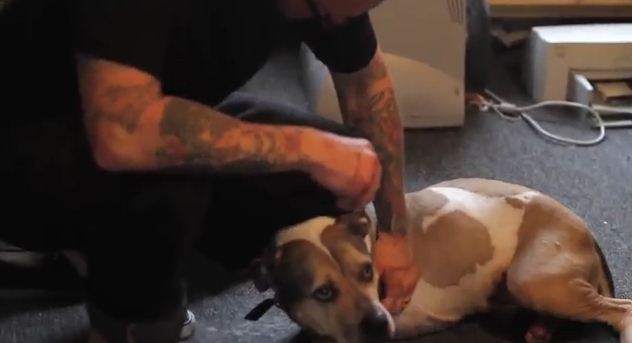 Watching A Human Say Goodbye To His Best Friend Will Leave You In A Lake Of Tears