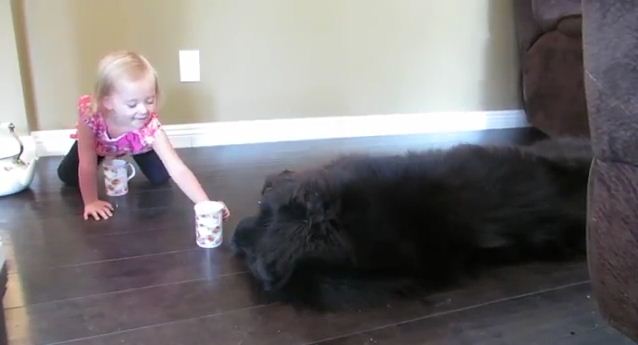 This Toddler’s Tea Party with Her Dog Gets Interesting When She Brings Out The Cookies!