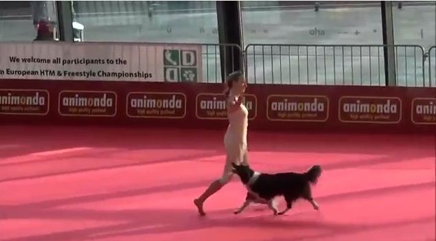 When You See What This Dog Is Doing You’ll Be Amazed, But Mostly Jealous