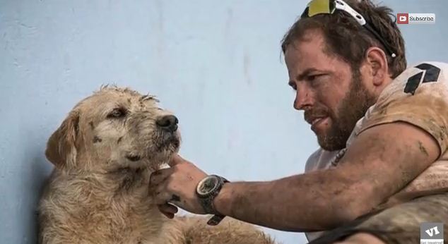 This Hiker Fed A Stray Dog But Never Expected This To Happen