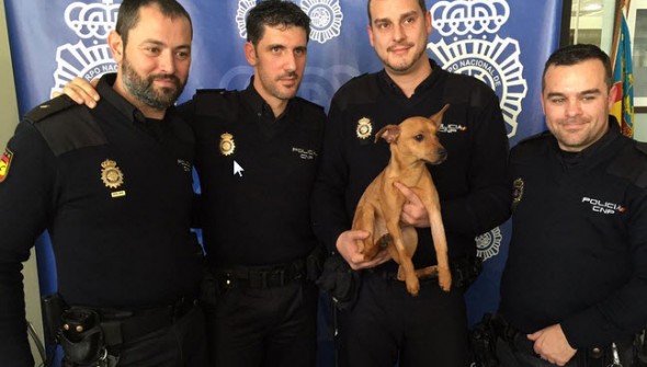 Police Officer Adopts Dog He Pulled from Abusive Home