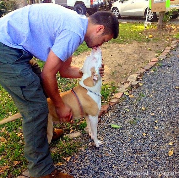 Man with Cancer Is Reunited with Missing Dog