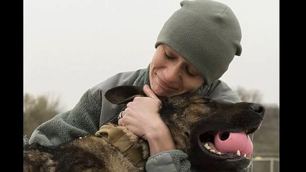 Terminally Ill Army Dog Is Honored By Her Humans Is The Most Powerful Way
