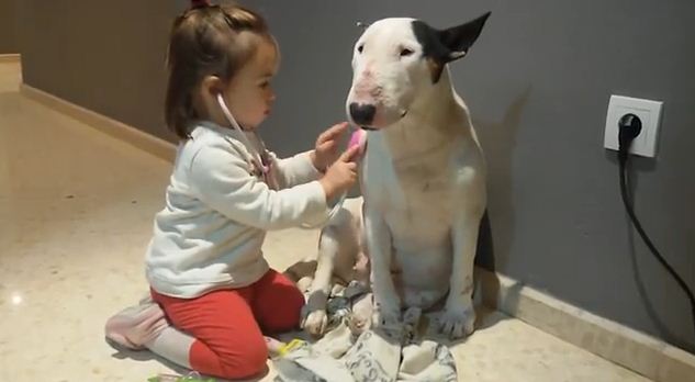 Watching This Little Girl Play Doctor With Her Patient Dog Is the Best Kind of Medicine