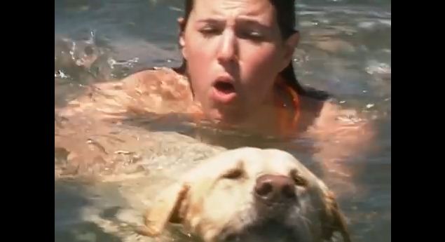 BLIND Dog Miraculously Saves Drowning Girl. What A Brave Hero!