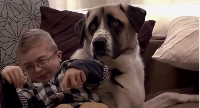 Amputee Dog Rescues Disabled Boy In A Powerful Way