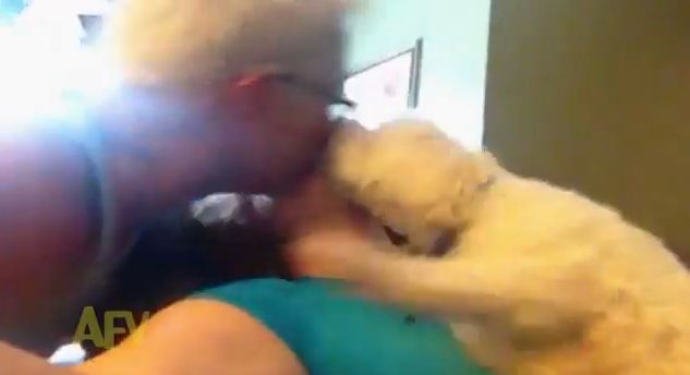 Jealous Dog Steals Kisses