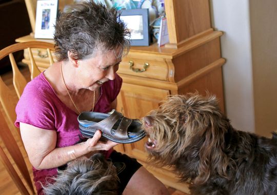 Woman Inspired to Train Service Dogs by Own Dog