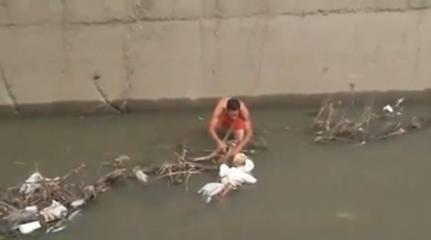 Man Jumps into Dirty Canal Waters to Save Stray Dog